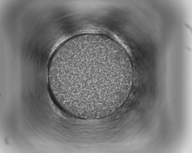 X0000094960011200712271730