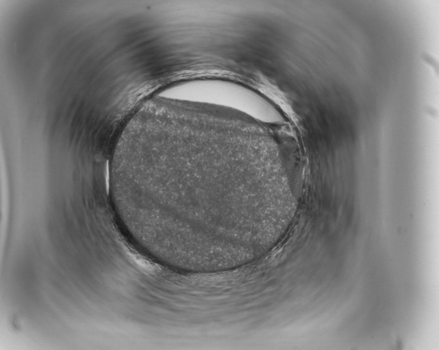 X0000094960013200712271730