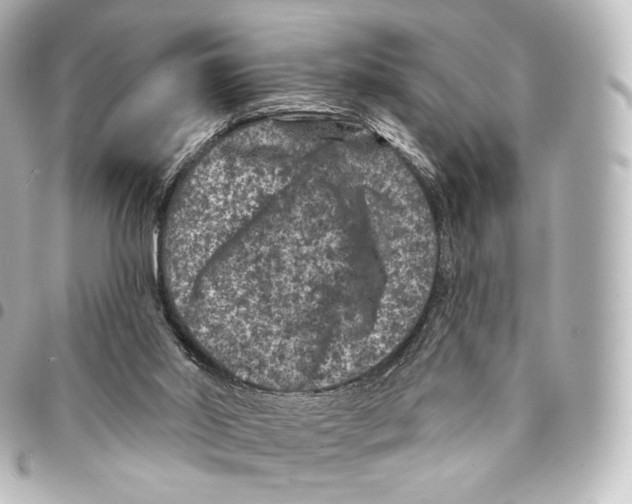 X0000094960014200712271730