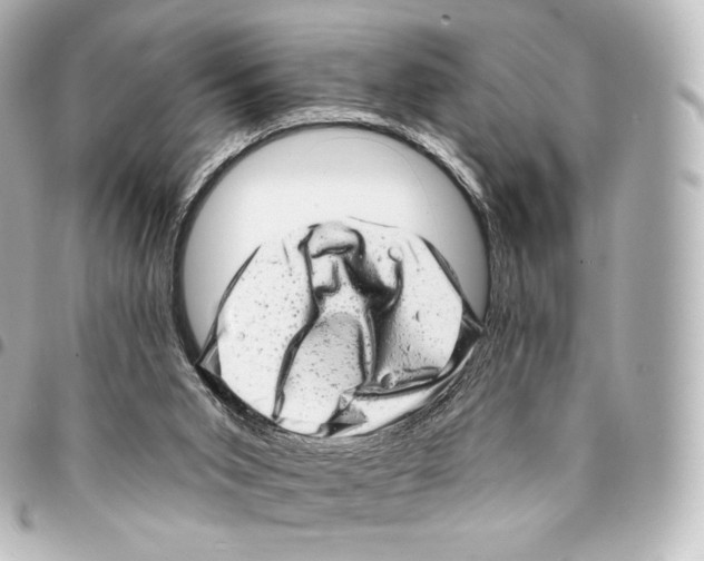 X0000094960015200712271730