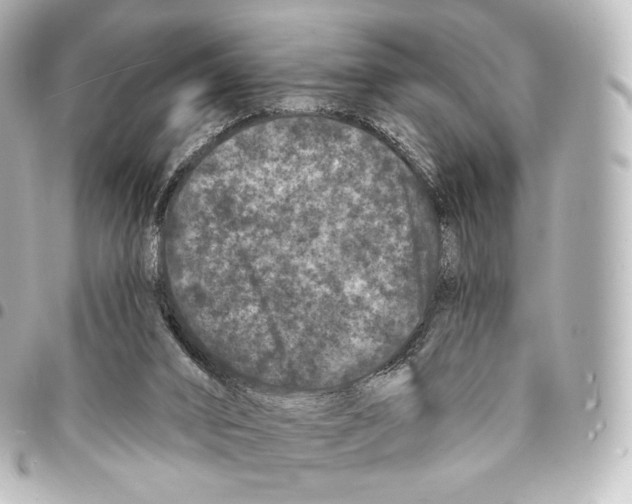 X0000094960016200712271730