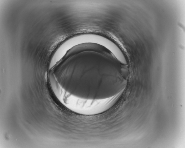 X0000094960019200712271730