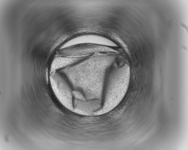 X0000094960020200712271729