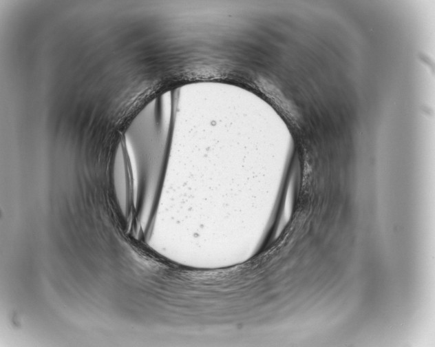 X0000094960021200712271729
