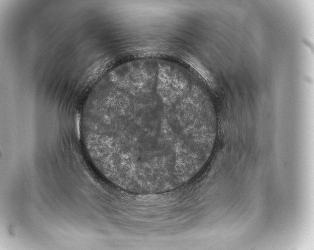 X0000094960022200712271729