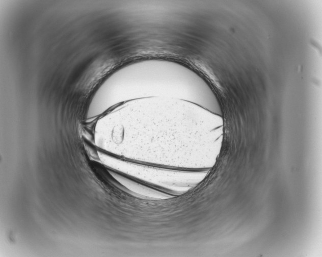 X0000094960023200712271729
