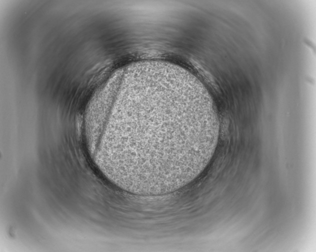 X0000094960026200712271729