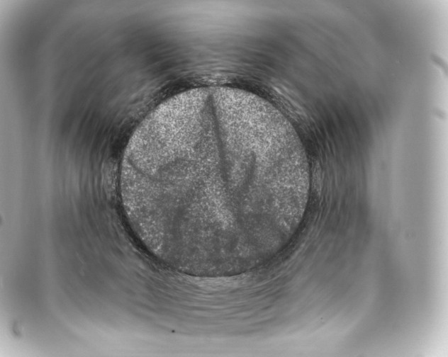 X0000094960030200712271729