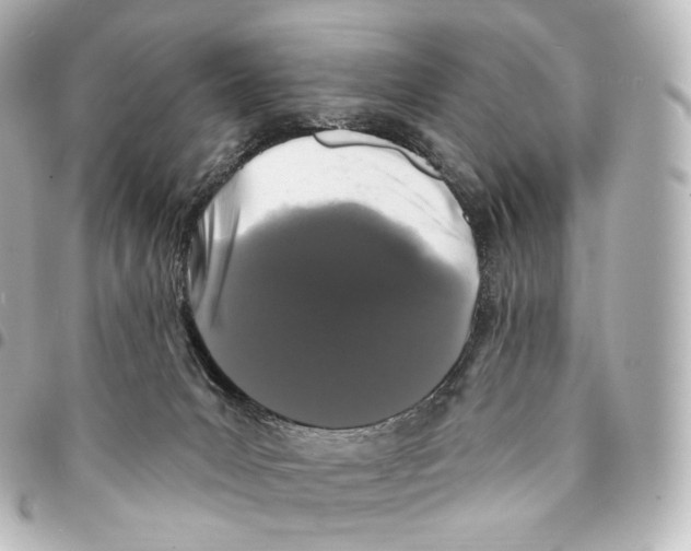 X0000094960031200712271729