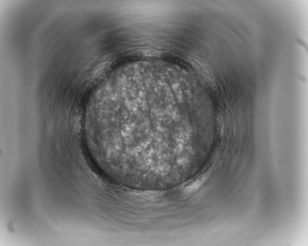 X0000094960032200712271729