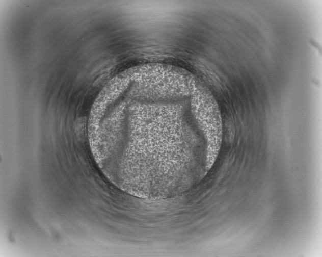 X0000094960034200712271729