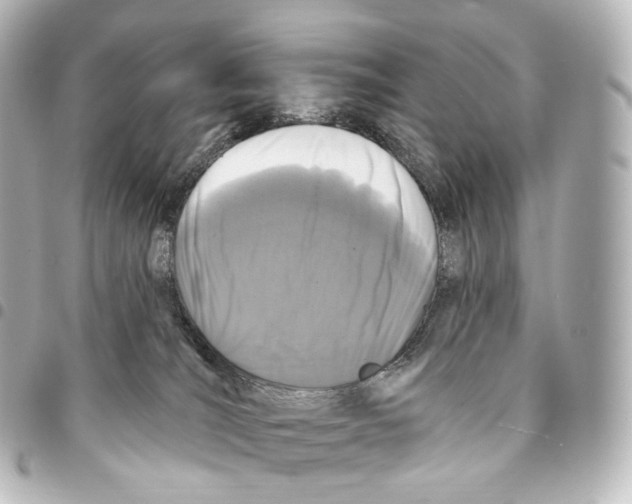 X0000094960036200712271729