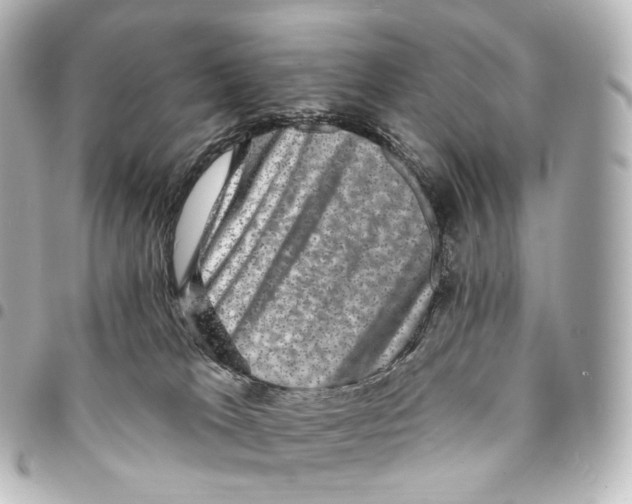 X0000094960037200712271729