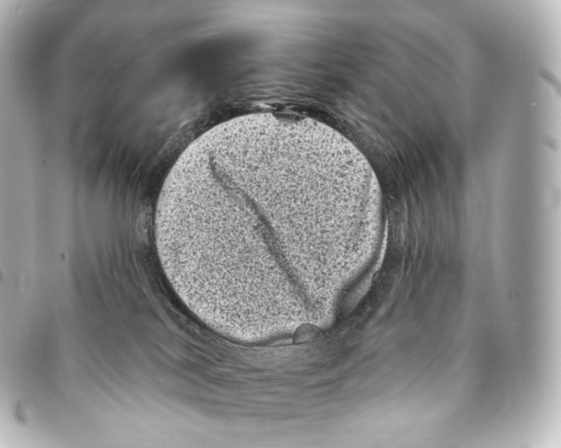 X0000094960038200712271729