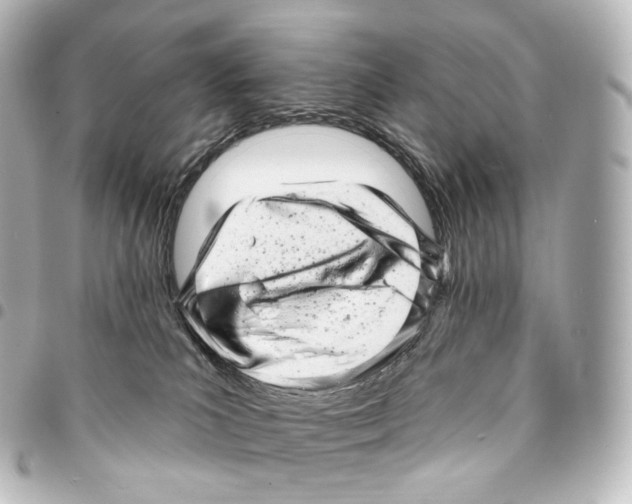 X0000094960039200712271729