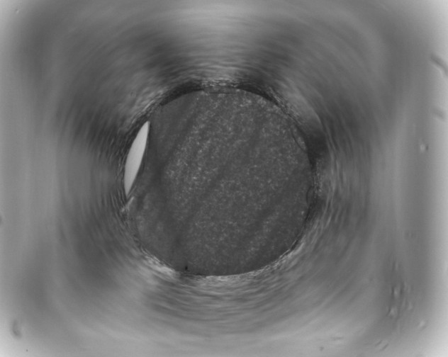 X0000094960041200712271729