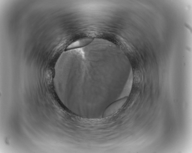 X0000094960043200712271729