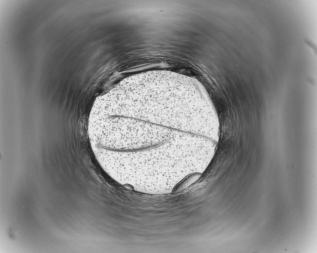 X0000094960044200712271729