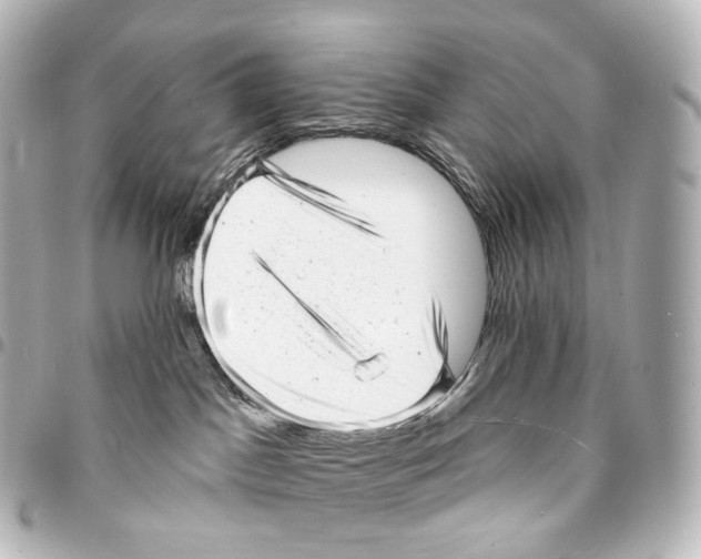 X0000094960045200712271729