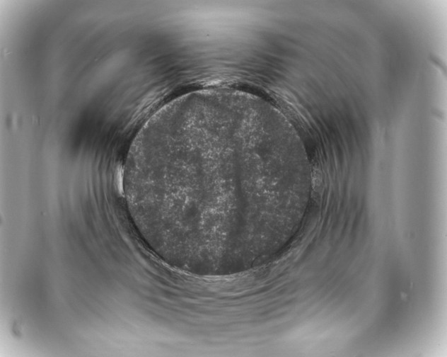 X0000094960046200712271729