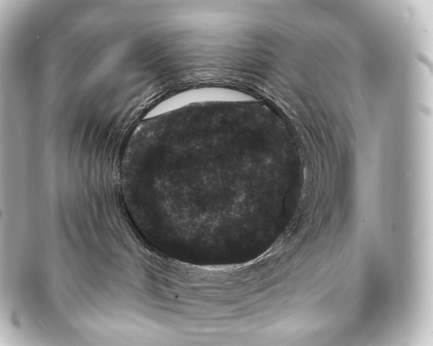 X0000094960048200712271729