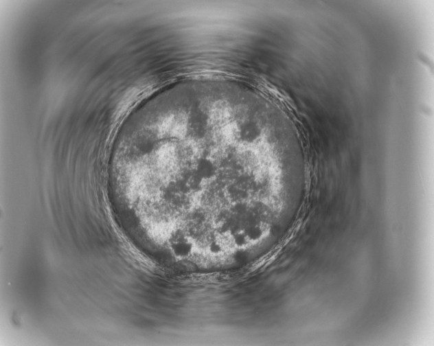 X0000094960049200712271728