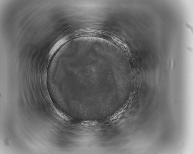 X0000094960051200712271728