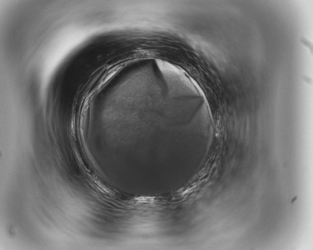 X0000094960052200712271728