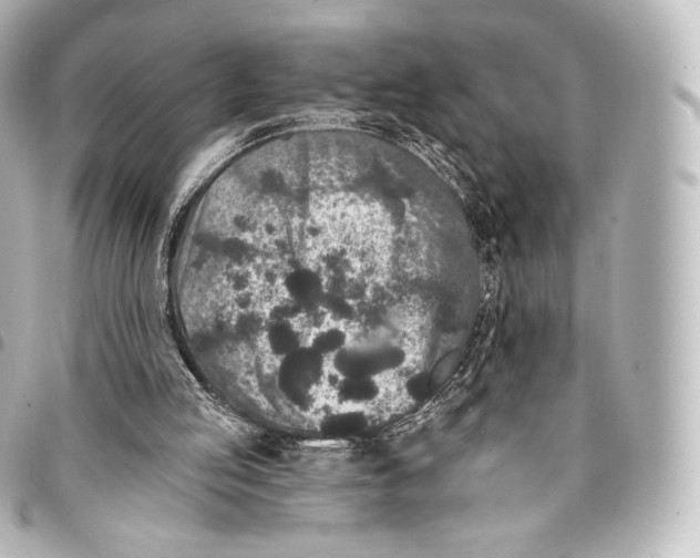 X0000094960053200712271728