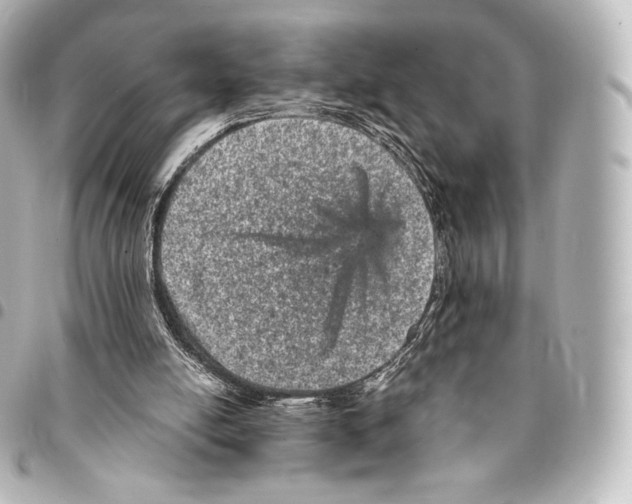 X0000094960054200712271728
