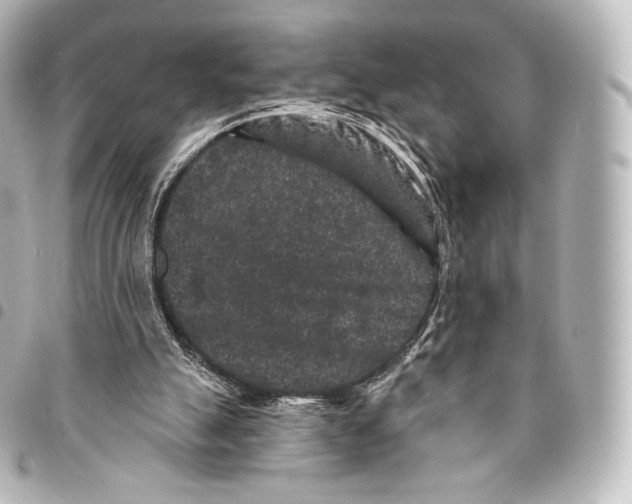 X0000094960055200712271728