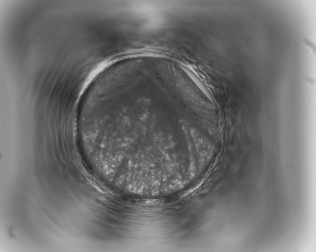 X0000094960056200712271728