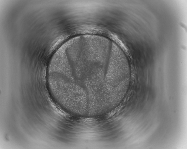 X0000094960058200712271728