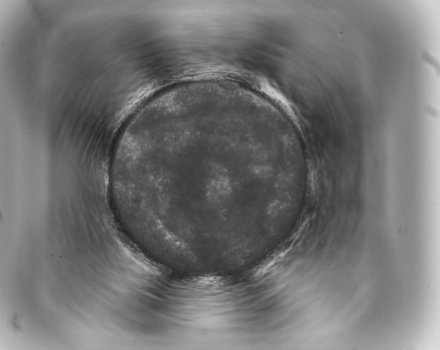 X0000094960059200712271728