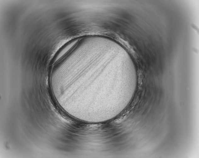 X0000094960060200712271728