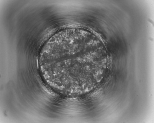 X0000094960061200712271728