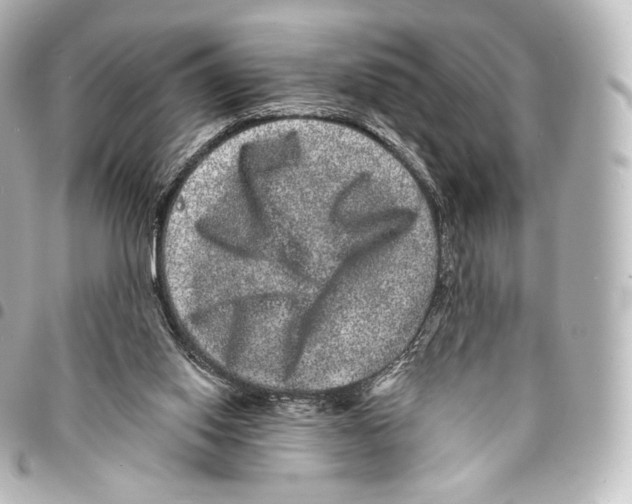 X0000094960062200712271728