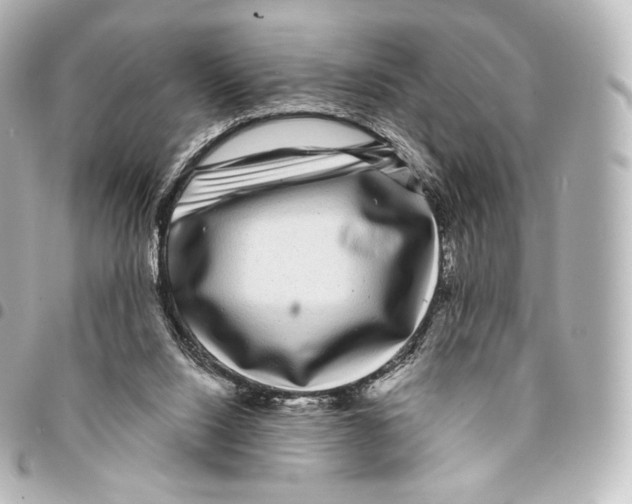 X0000094960064200712271728