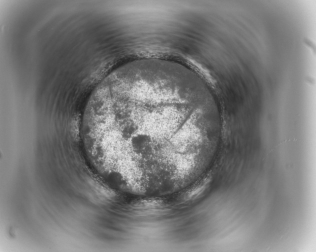 X0000094960065200712271729