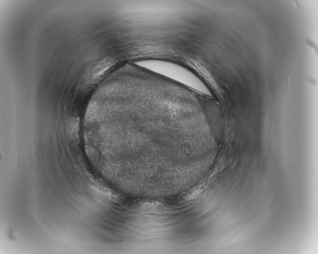 X0000094960066200712271729