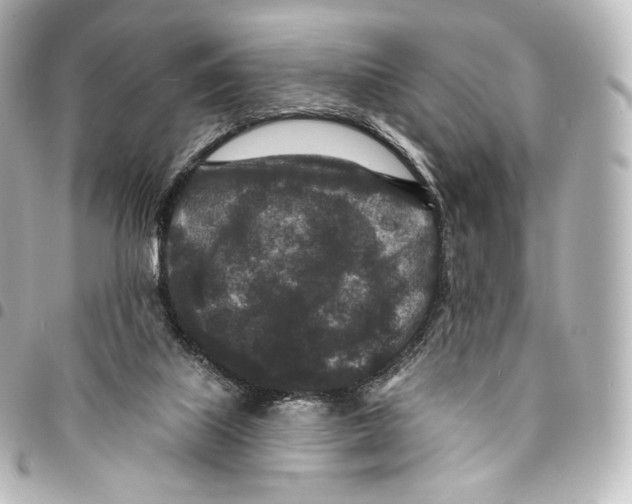 X0000094960067200712271729
