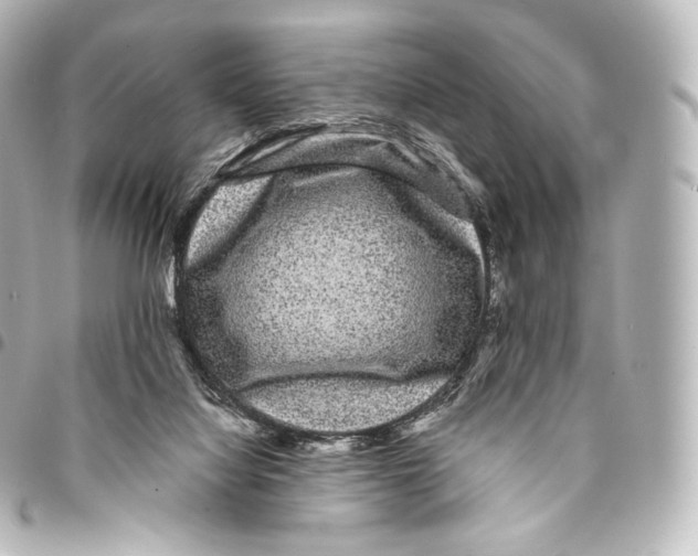 X0000094960068200712271729