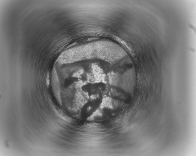 X0000094960069200712271729
