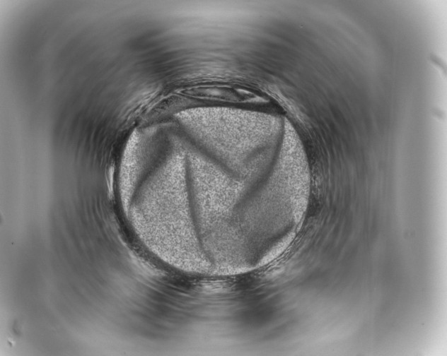 X0000094960070200712271729