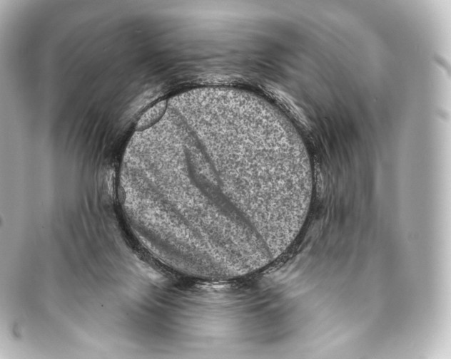 X0000094960071200712271729