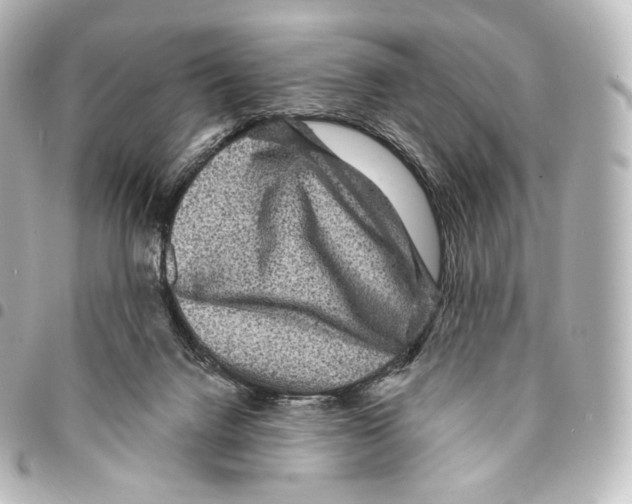 X0000094960072200712271729