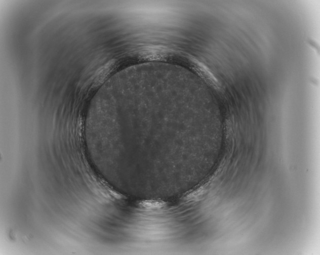 X0000094960073200712271729