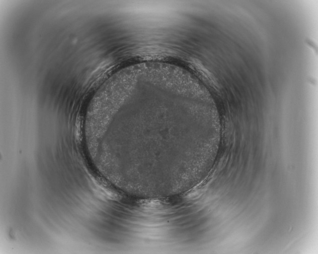 X0000094960074200712271729