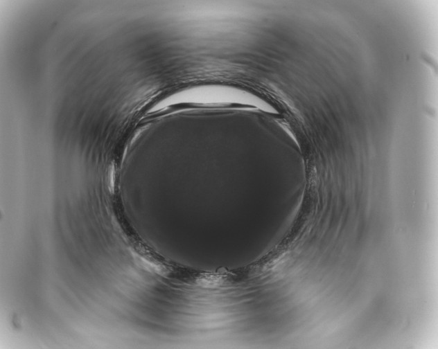 X0000094960076200712271729