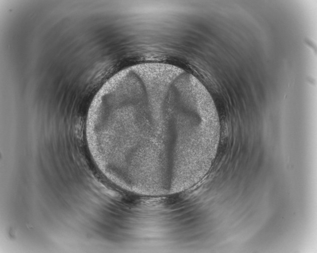 X0000094960078200712271729